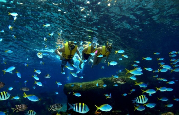 Snorkel-over-a-colourful-coral-reef-.jpg