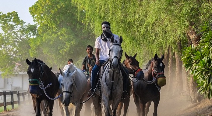 horses-polo-dubai-desert-palm.jpg